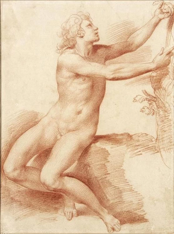 Studio di Adamo